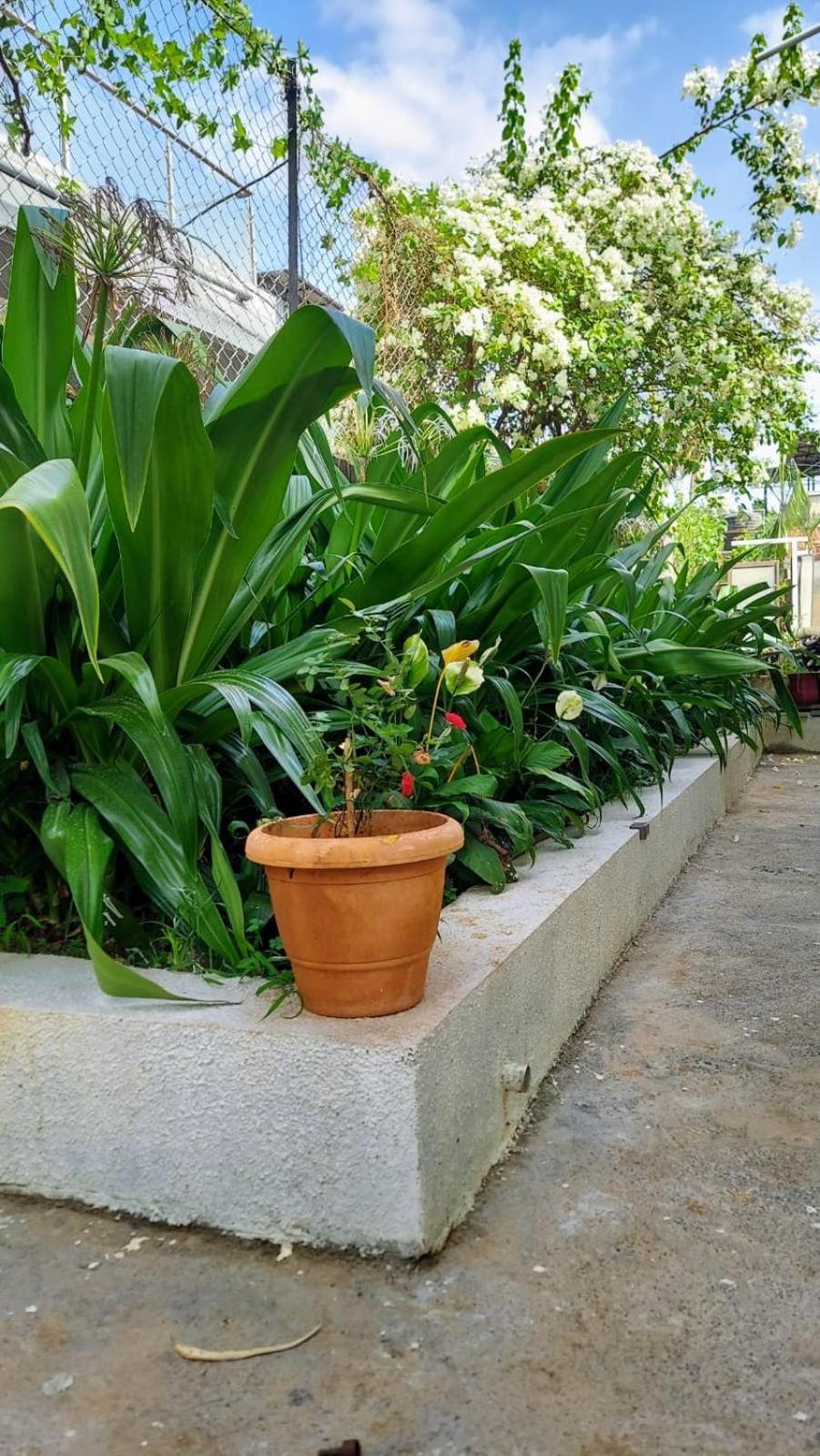 Lonavala Francis Villa Exclusive 4-Bedroom Family Retreat With Pool エクステリア 写真